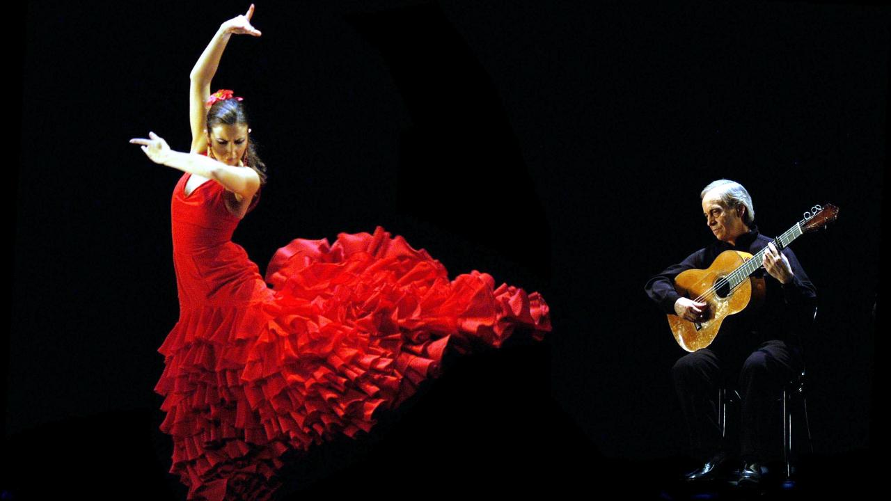 Foto van Flamenco